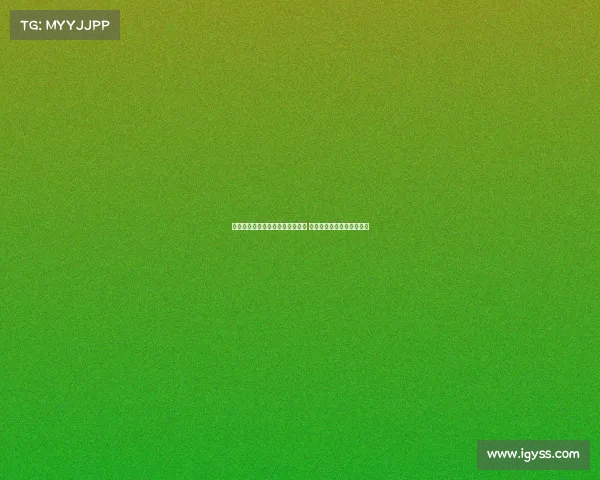 多特为法比奥席尔瓦提供五年合同 计划长期依赖这位年轻前锋